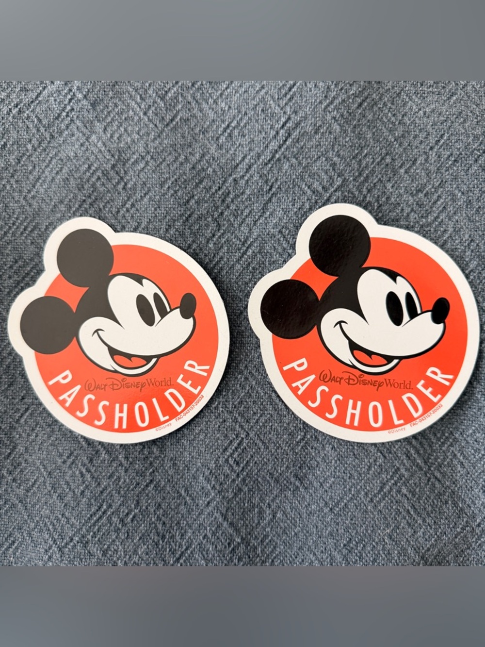 Walt Disney World Annual Passholder (AP) Mickey Mouse Magnets